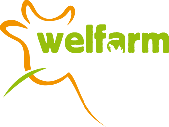Découvrez votre futur filleul